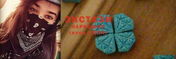 ECSTASY Алзамай