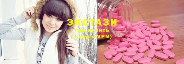 ECSTASY Алзамай