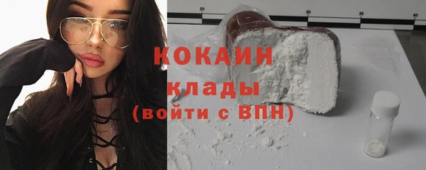 ECSTASY Алзамай