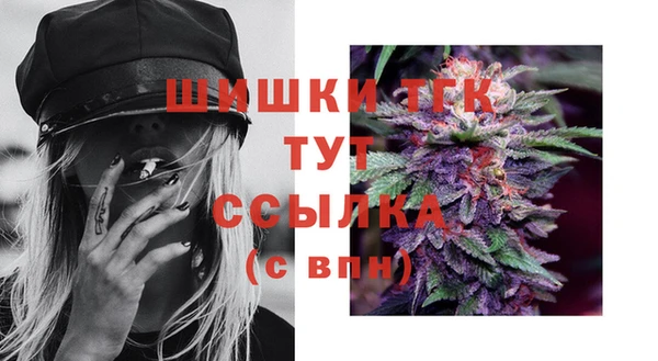 СК Покачи