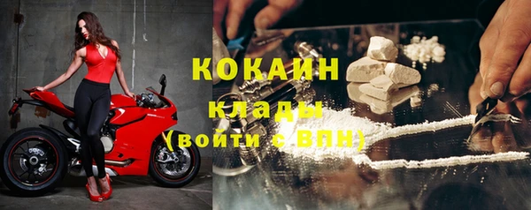ECSTASY Алзамай
