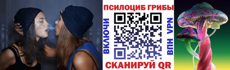 Псилоцибиновые грибы Psilocybe Макушино